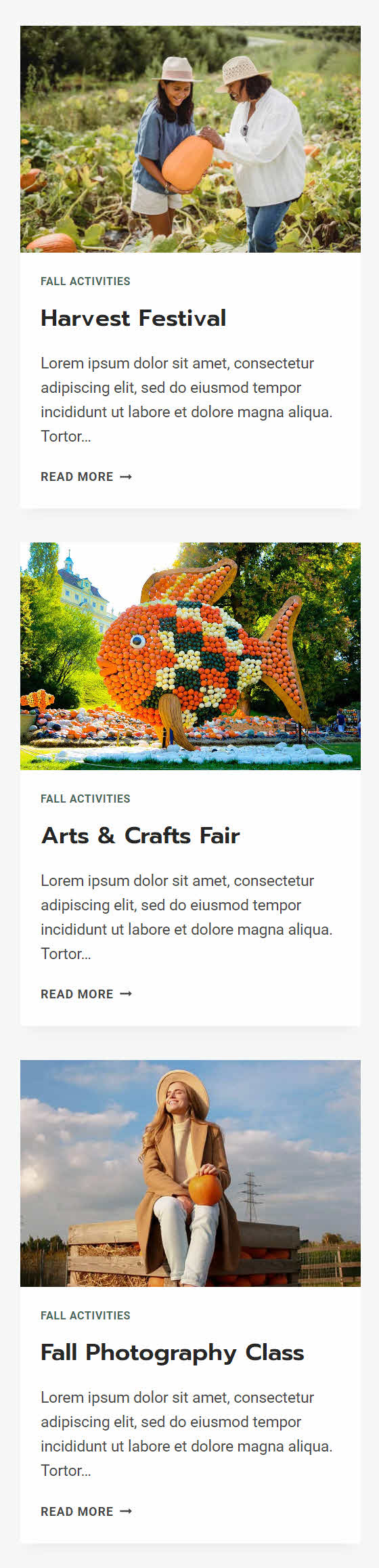 card section for mobile