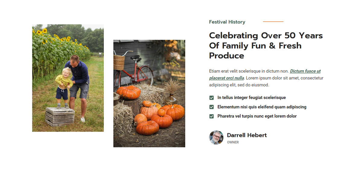 introductory section 1 desktop original 2