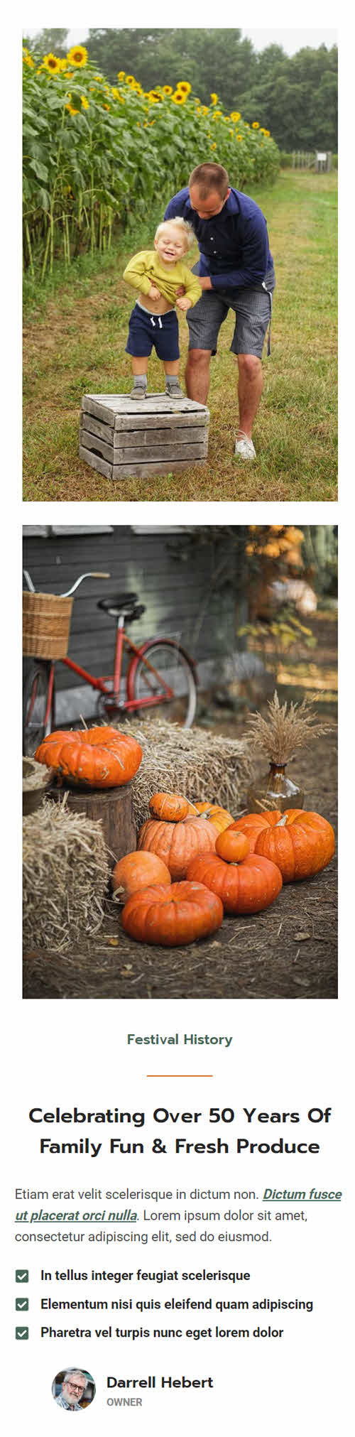 introductory section 1 mobile original 2