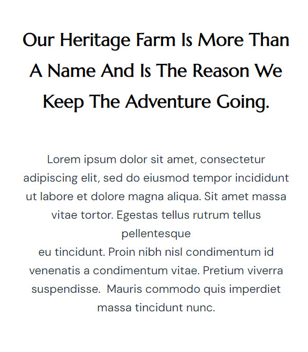text layout page section